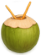 Coconut - $100