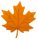 Maple Leaf - $40