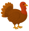 Turkey - $500
